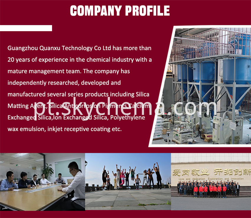 Company Profile